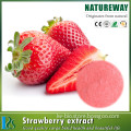 100% Natural Organic Strawberry Juice Extract Powder,Pure strawberry extract                        
                                                Quality Choice